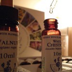 Bach Flower Remedies for Results